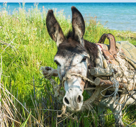 Similar image 13064529