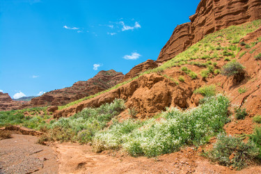 Similar image 13064542