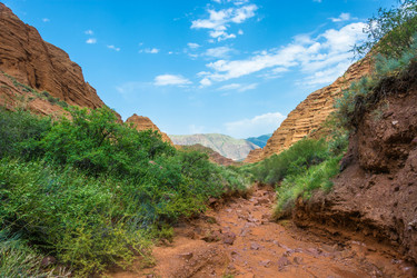 Similar image 13064585