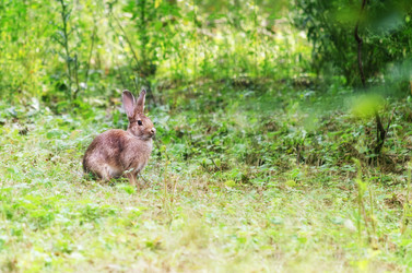 Similar image 13045521