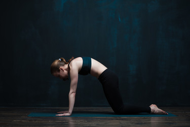 Similar image 13046359