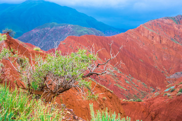 Similar image 13064627