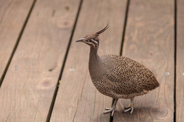 Similar image 13051713