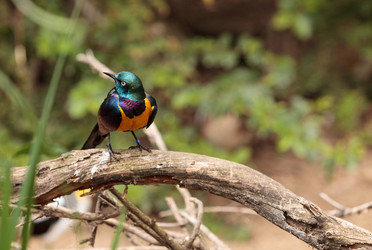 Similar image 13051715