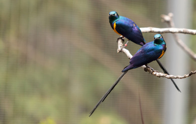 Similar image 13051719