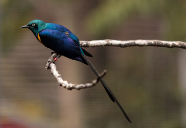 Similar image 13051720