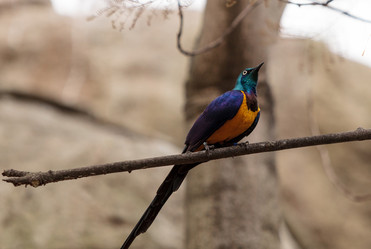 Similar image 13051723