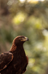 Similar image 13051975