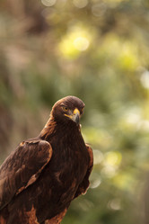 Similar image 13051976