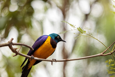 Similar image 13051977