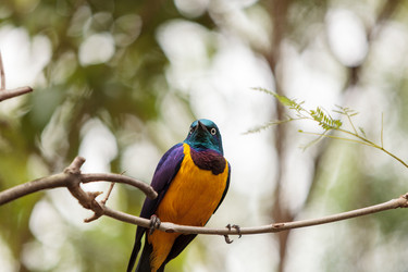 Similar image 13051979