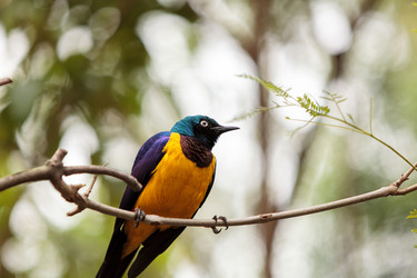 Similar image 13051995