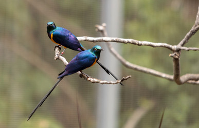 Similar image 13051998