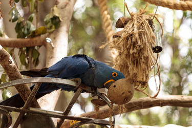 Similar image 13051845