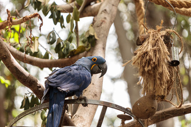 Similar image 13051860