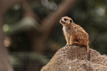 Similar image 13051864