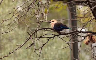 Similar image 13051902