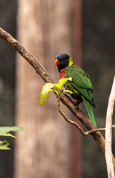 Similar image 13051941