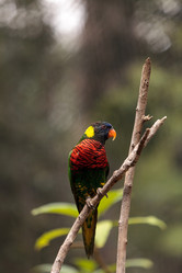 Similar image 13051942