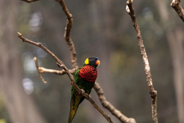 Similar image 13051943