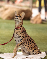 Similar image 13051957