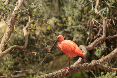 Similar image 13051959