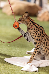 Similar image 13052036