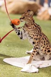 Similar image 13052038