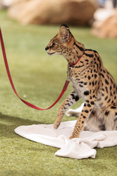 Similar image 13052073