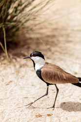 Similar image 13052108