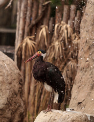 Similar image 13052110