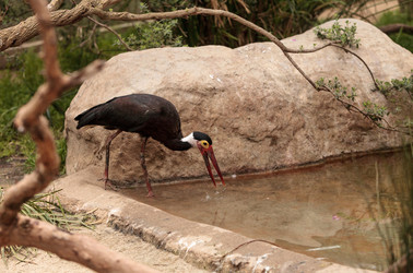 Similar image 13052112