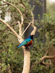 Similar image 13052153