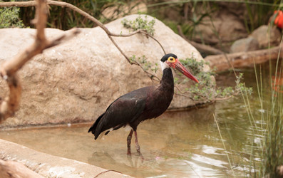 Similar image 13052172