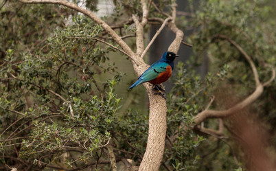 Similar image 13052062