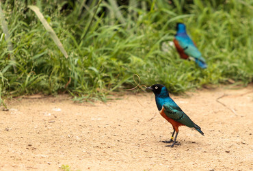 Similar image 13052063