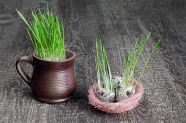 Similar image 13045540