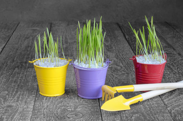 Similar image 13045541