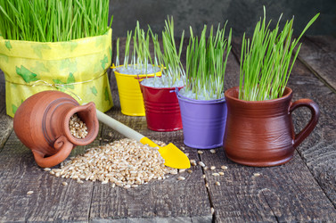 Similar image 13045542