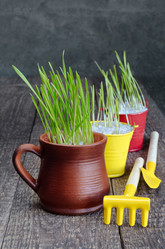 Similar image 13045199