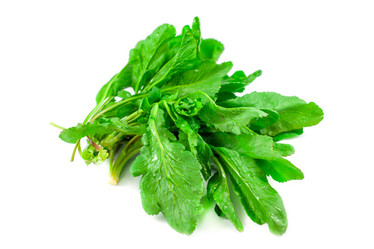 Similar image 13045793