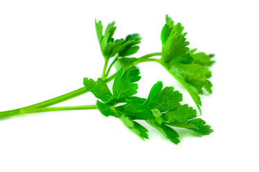 Similar image 13045798