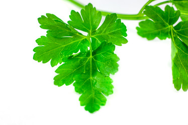 Similar image 13045799