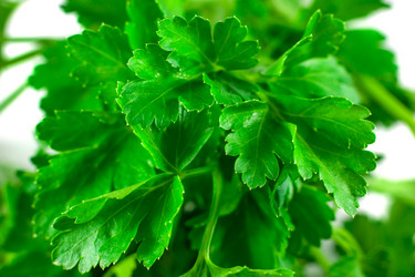 Similar image 13045923