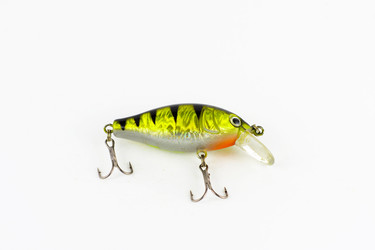 Similar image 13024832