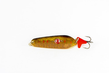 Similar image 13007828