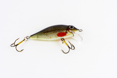 Similar image 13024836