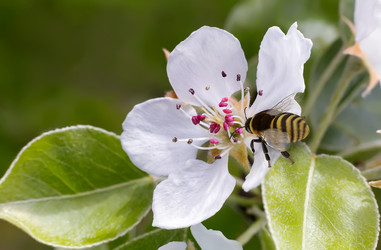 Similar image 13002064