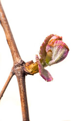 Similar image 13045805