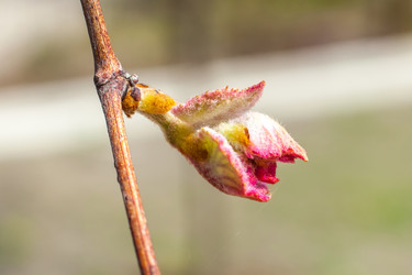 Similar image 13045806